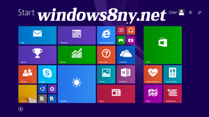 windows8ny.net